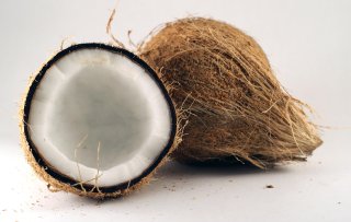 Medicinal food: Coconut