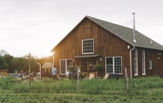 Beer from grain to glass