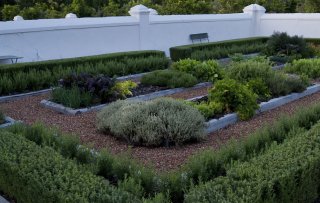 Botanical Dreams, restauranttuinen in Zuid-Afrika
