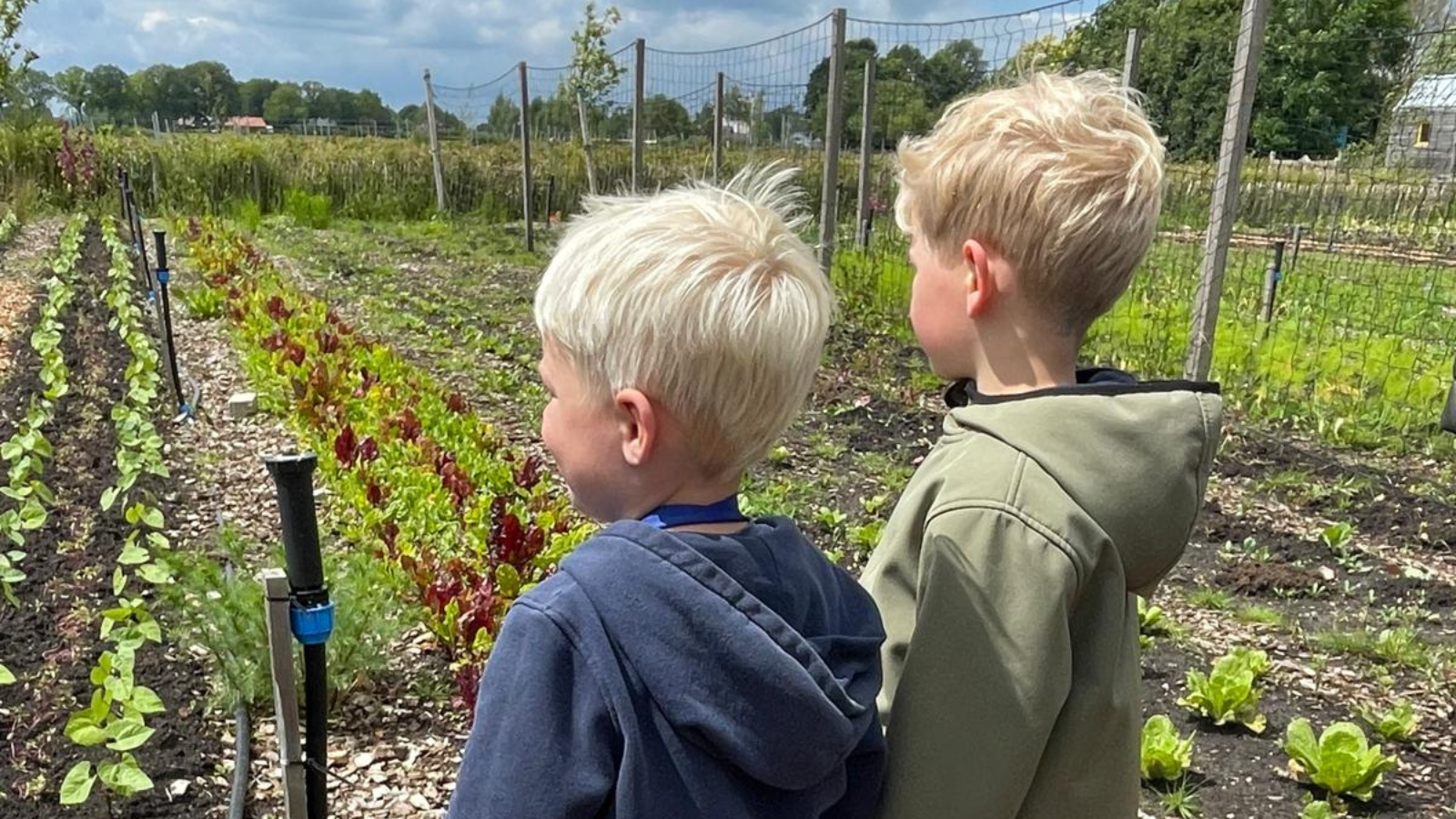 De kinderen van Jaap en Niels op de boerderij