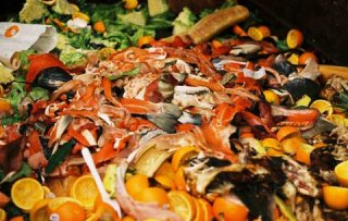 Blog: Was 2014 het jaar tegen food waste?