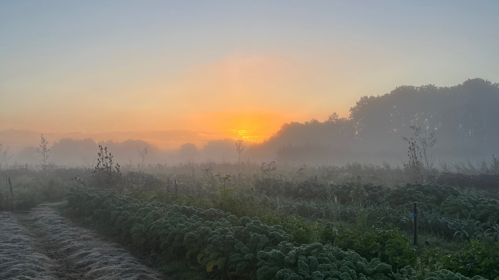 Herfst op Erve Kiekebos