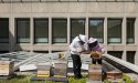 Food Manifesto SENSE by Hotelschool The Hague sets the standard