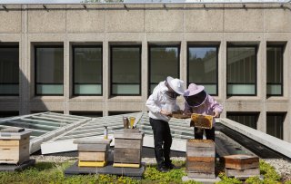 Food Manifesto SENSE by Hotelschool The Hague sets the standard