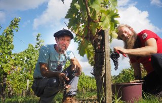 Bekendste Nederlandse wijnmaker Ilja Gort start nieuw wijnlabel met zoon