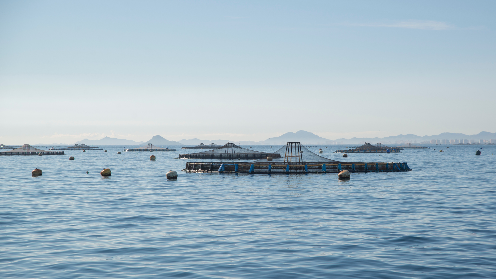 Ocean farming