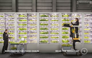 New magazine: Rethinking the food chain