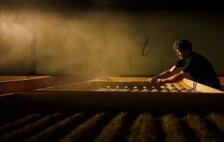 De smaak van Japan, gemaakt van producten uit Rotterdam