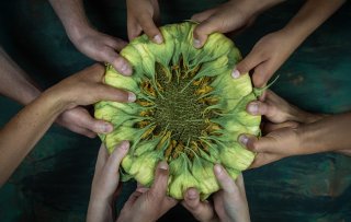 Duurzame energie al bijna de norm, plantaardig en lokaal eten nog niet