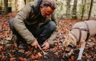 De hunter, de handelaar en de hond: op zoek naar Nederlandse truffels