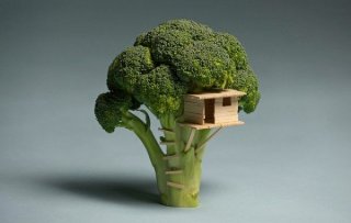 Big Bang Broccoli