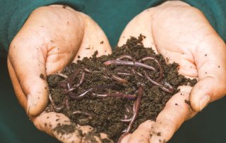 Composting: the low-hanging fruit in the fight against climate change