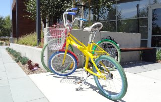 GoogleGardens @Googleplex