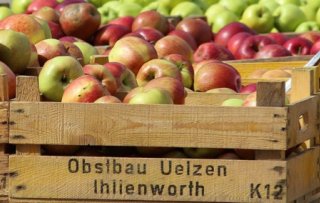 Hospital farmers market