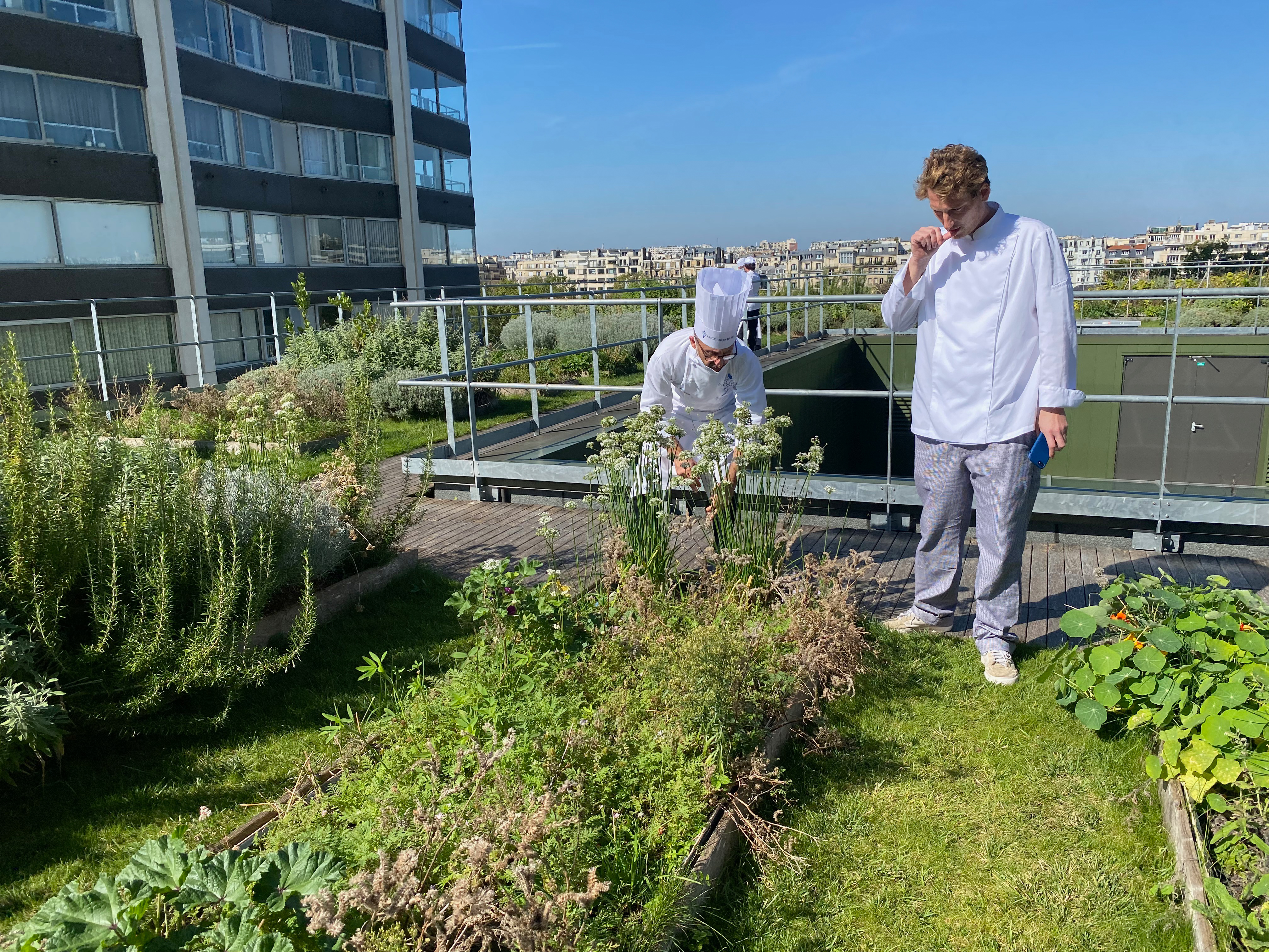 Chef en leerling in de tuin op het dak van Le Cordon Bleu in Parijs