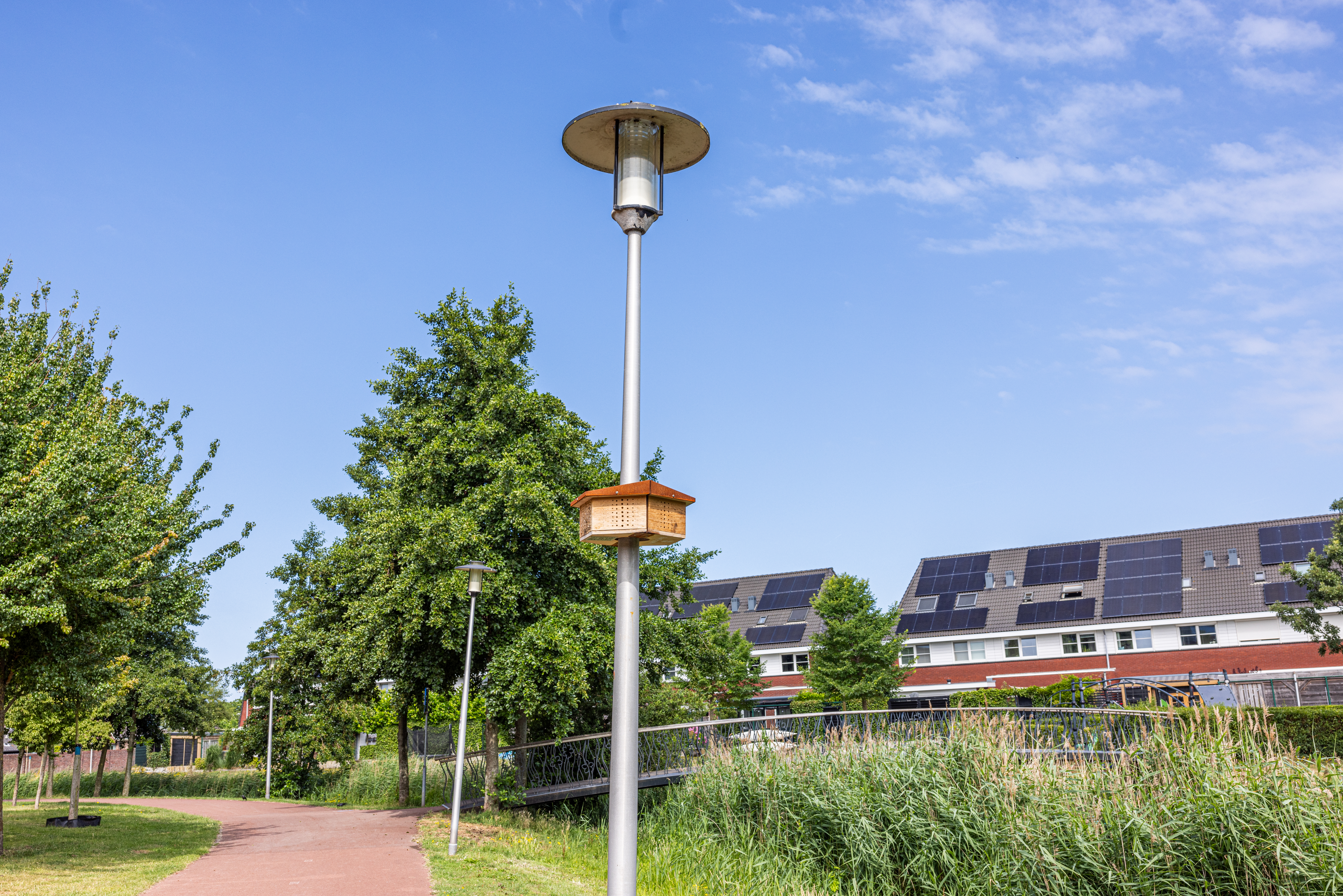 Een van de bijenhotels bevestigd aan een lantaarnpaal