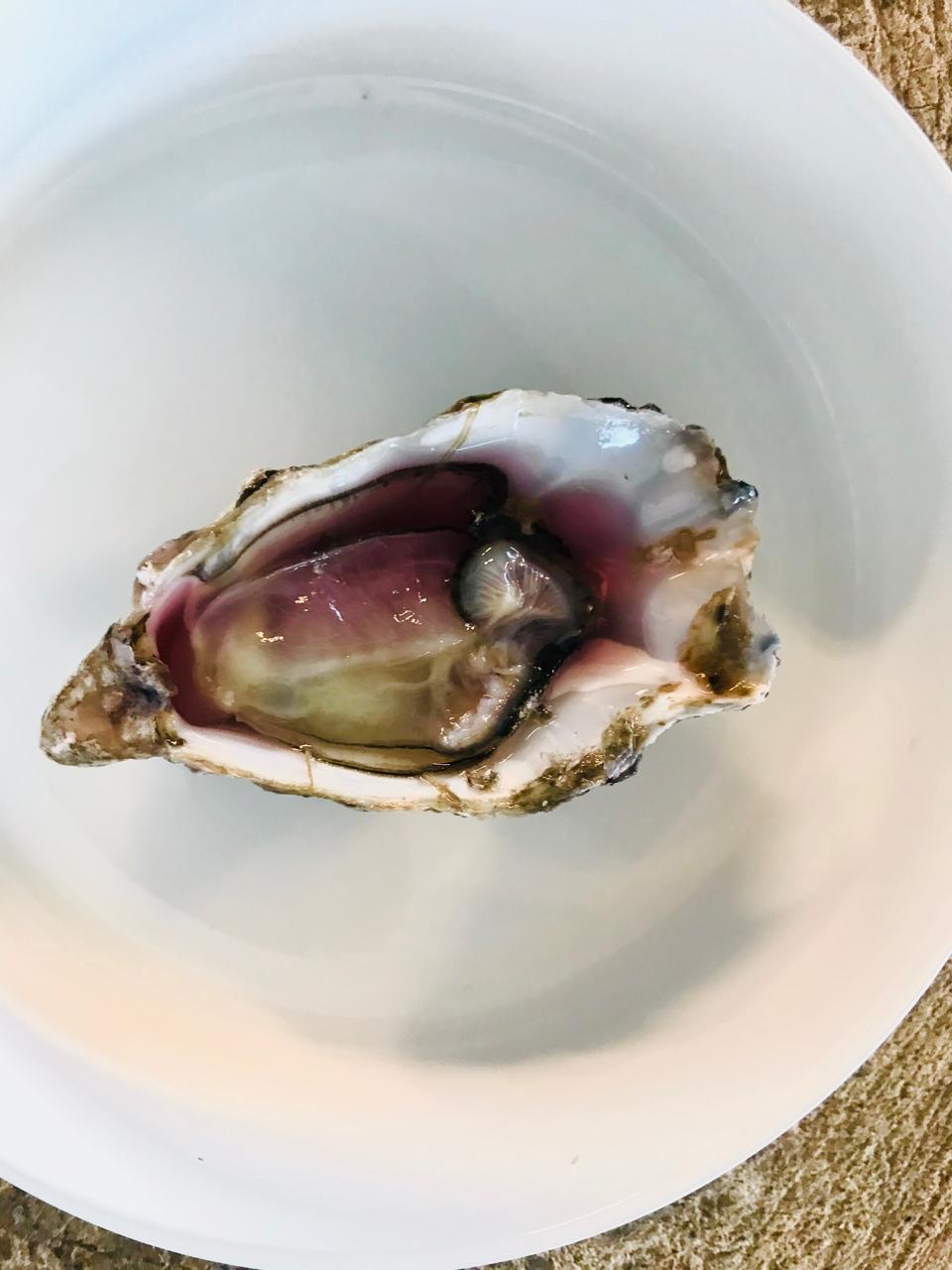 Live-geïnfuseerde oester met biet