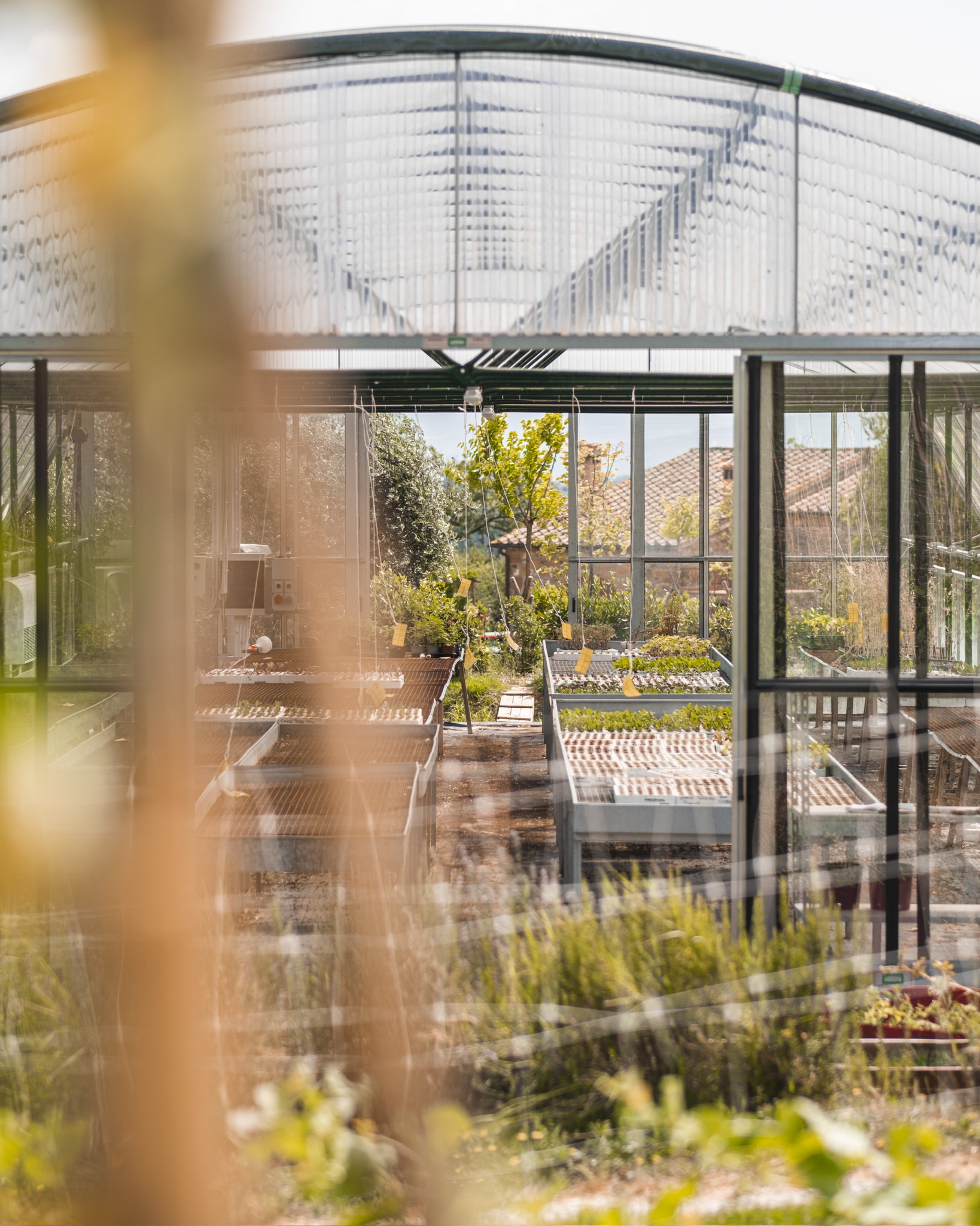 The siblings are looking to build a scientific evidence base for their farming method, aspiring to become a blueprint for farms everywhere in the world (photo by Alessandro Zaccaro)