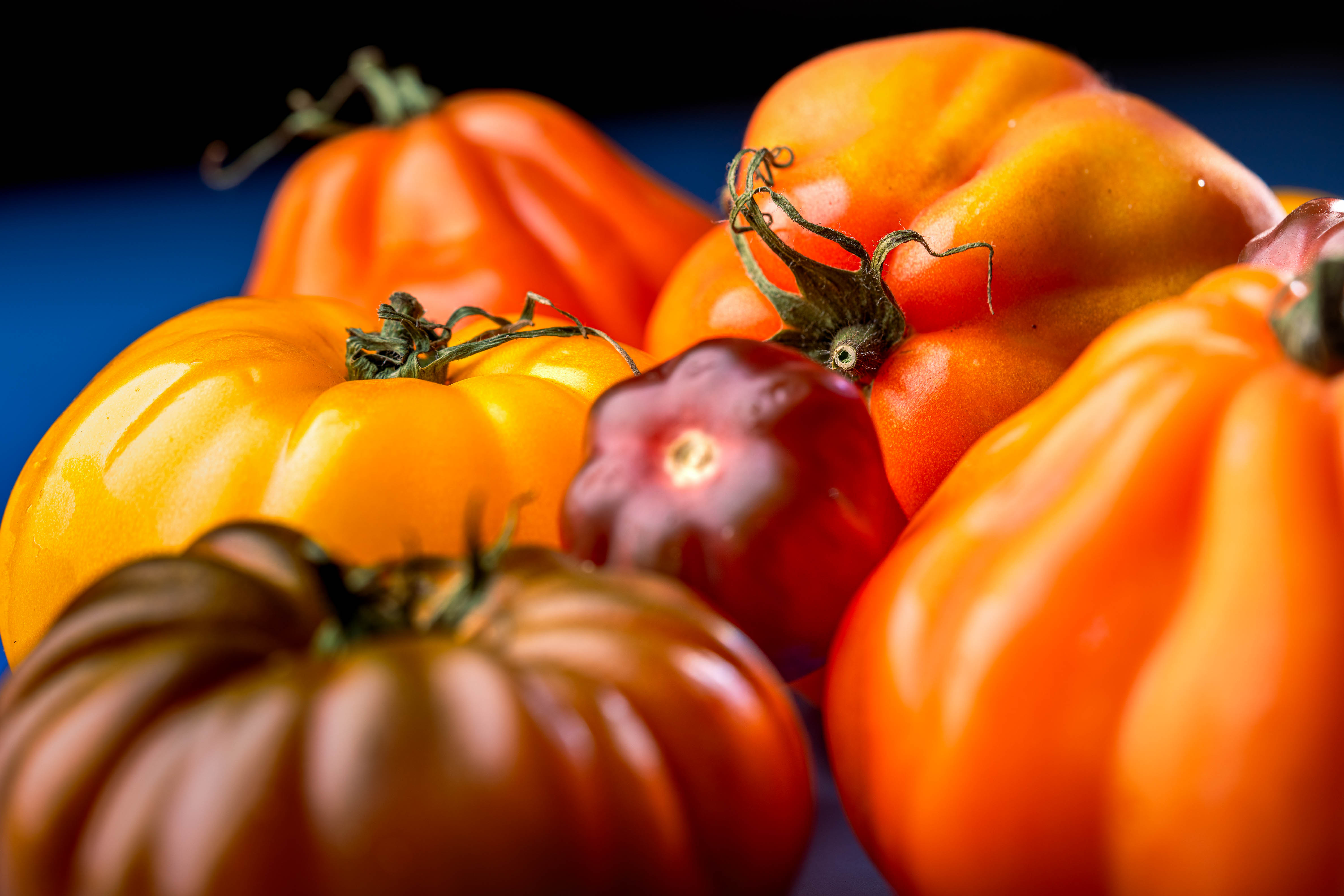 Tomaten afkomstig uit het voedselbos van De Pooter