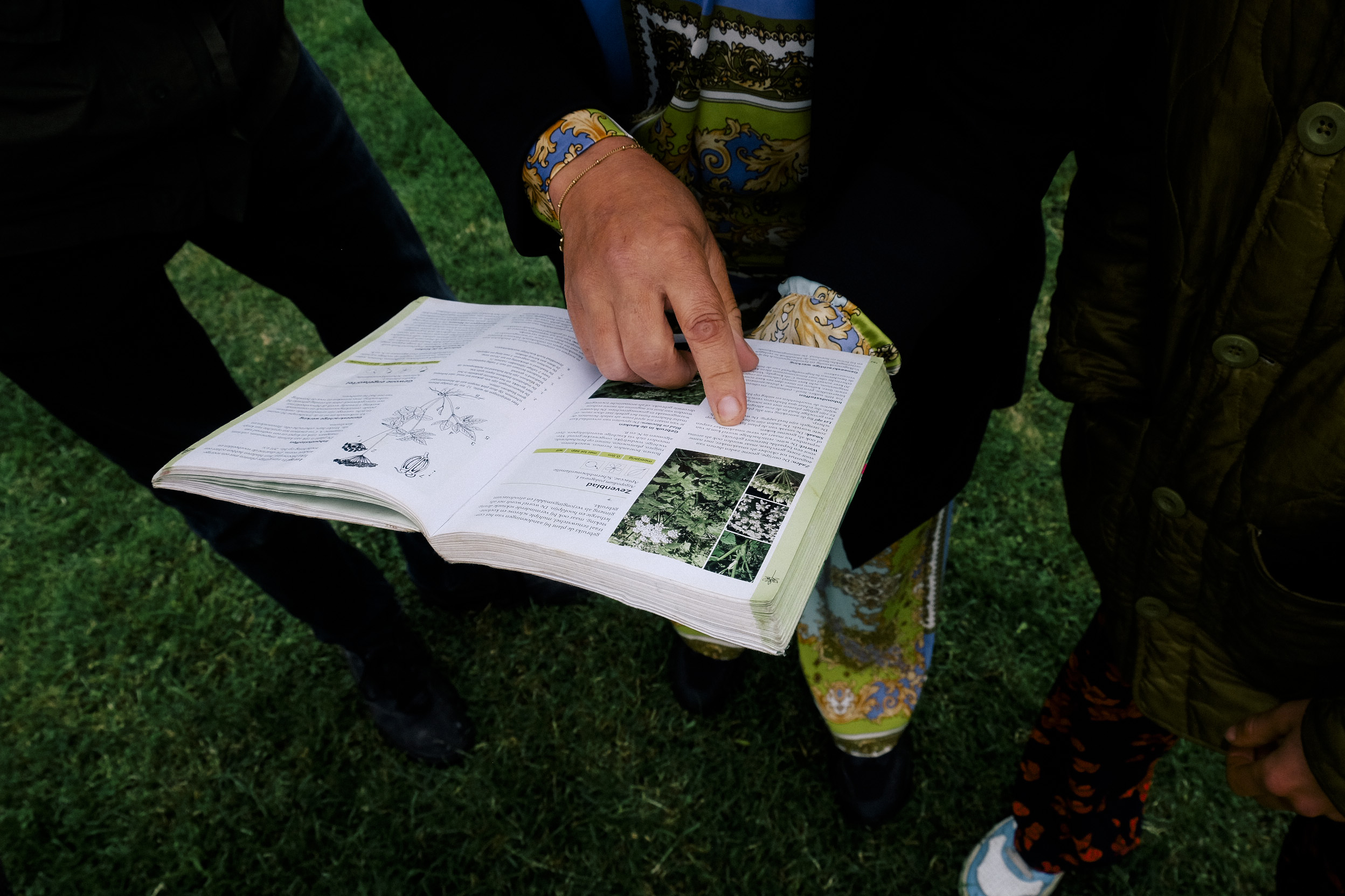 Een veldgids is praktisch om ter plekke te determineren of je de juiste soort hebt | foto door: Ella Elisabeth