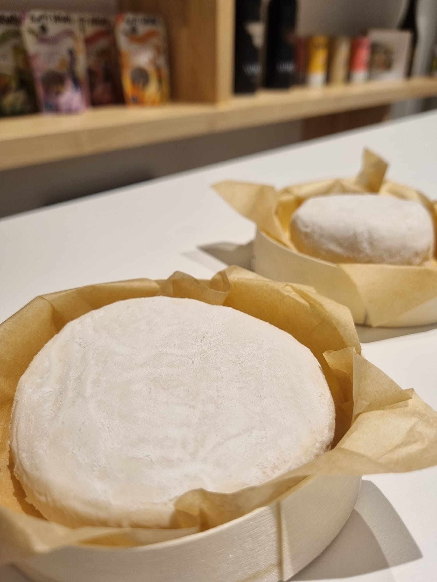 Camembert op basis van mycelium, foto door: Promyc van Naplassol