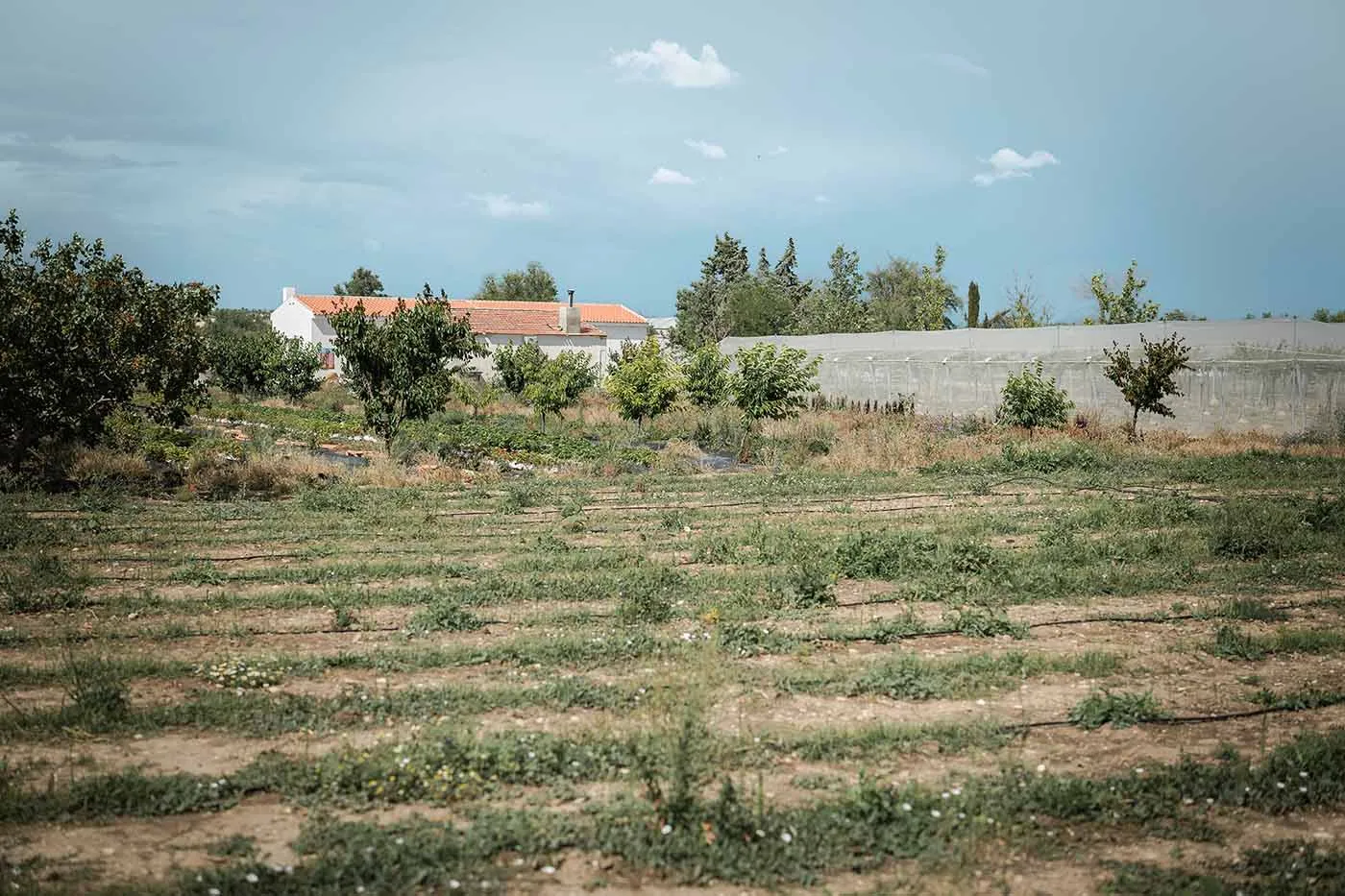 Extreme summer heat & draught in Europe | photo by: We're Smart